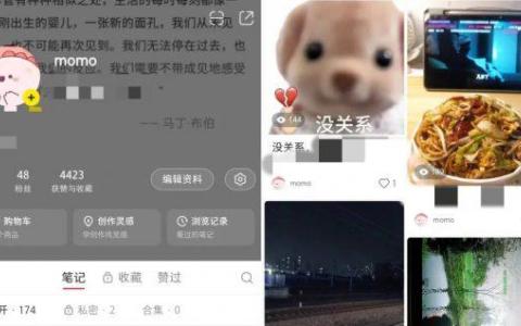 71 你的小红书该做个人号还是企业号？